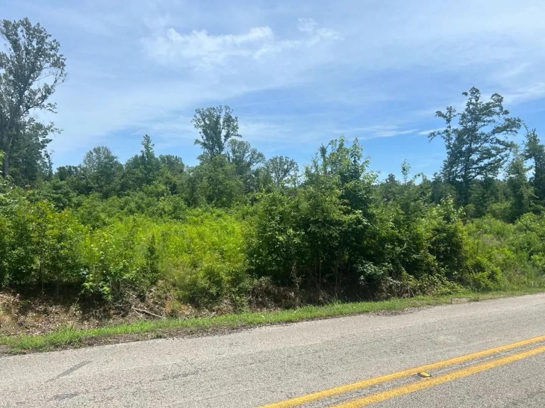 12 Acres in Caldwell County, LA