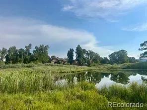 1105 Little River Lane