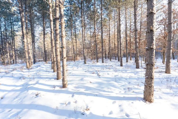 200-acre tract of land with a lot of diversity in Juneau County Wisconsin