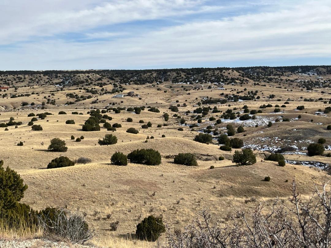 Hatchet Ranch Fulton