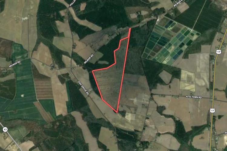 MARKET BASED PRICE IMPROVEMENT!!  166 acres of Hunting and Timber Land For Sale in Craven County NC!