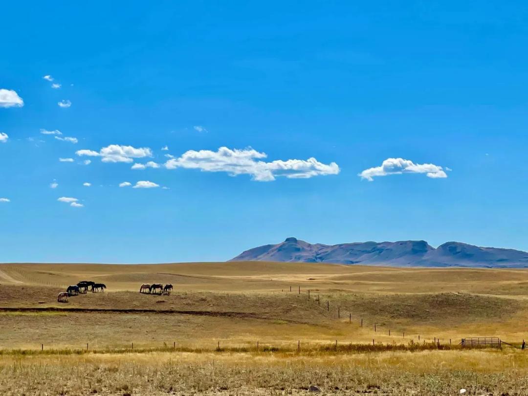 Opportunity Acres