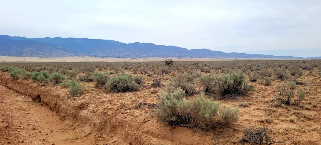 1 acre residential Homesite - Los Lunas NM
