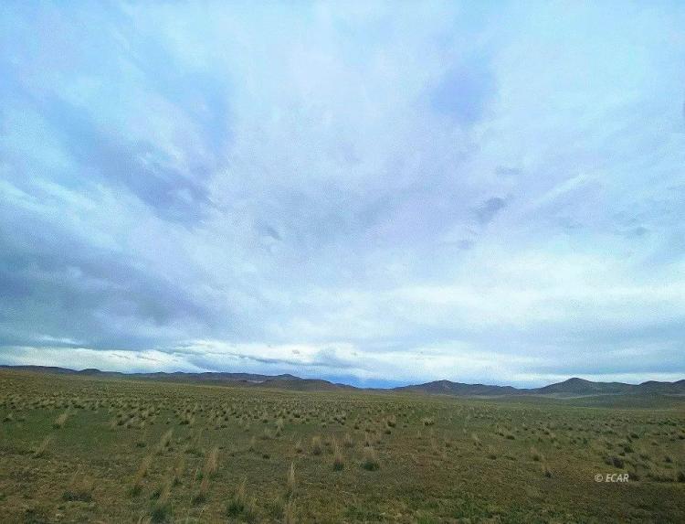 40 Acres Willow Corral Pass Road - Crescent Valley, NV 89821 
