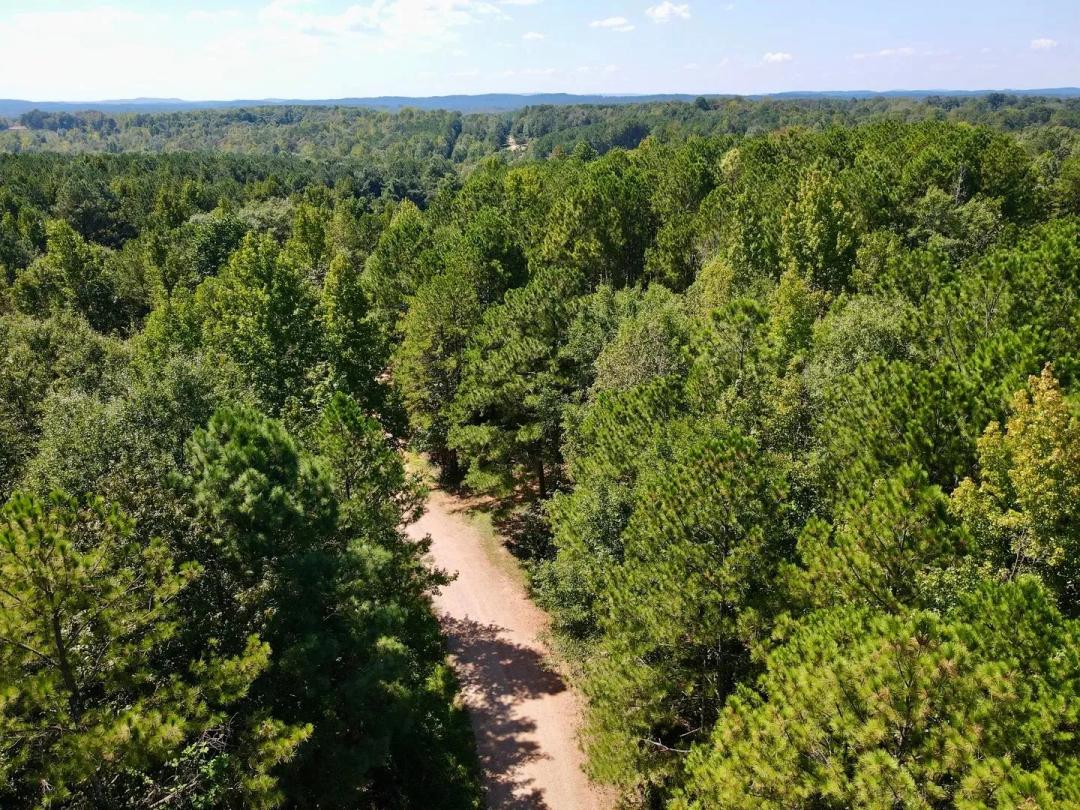 7.5 acres- Wooded & Unrestricted