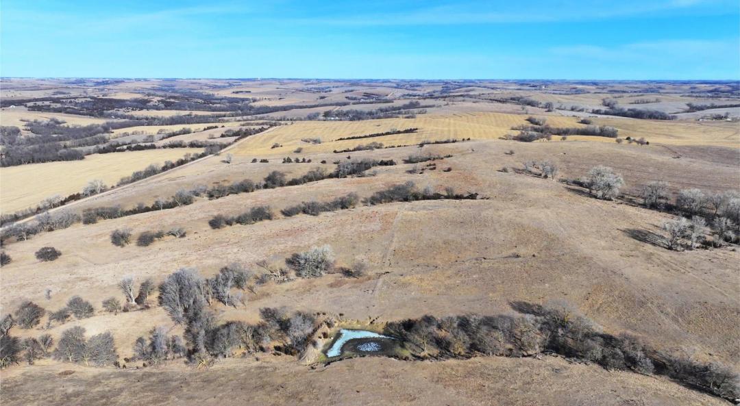 160 Acres, Butler County, Venter Pasture