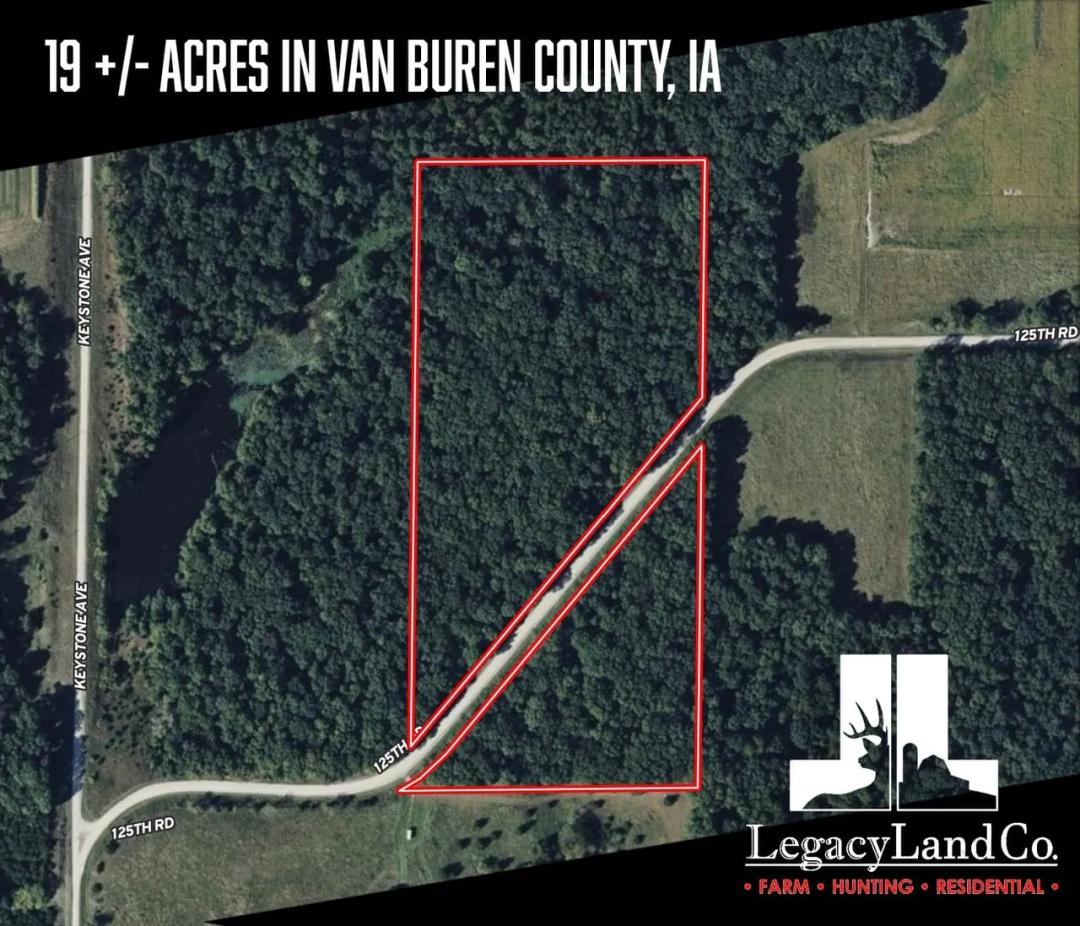 19 Acres in Van Buren County