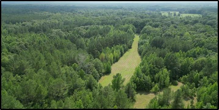 223 Acres in Holmes County in Goodman, MS 