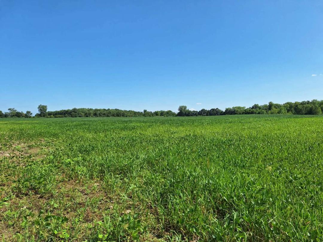 18.00 Acres at 0 CR 57