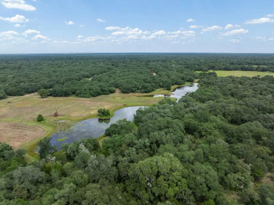 CR 19, Hallettsville - 316 Acres