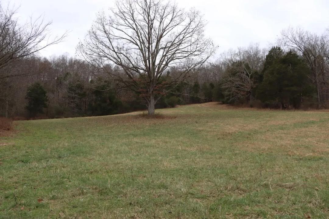 Hunting Cattle Farm for Sale in Kentucky