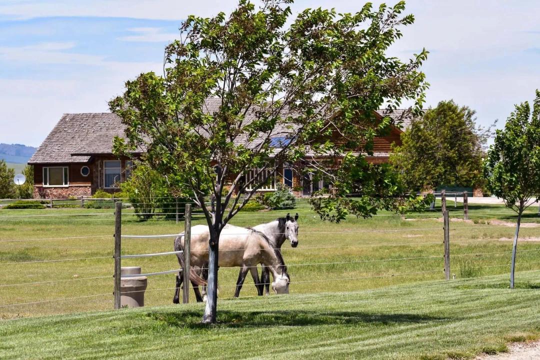 Knox Farm Equine Center