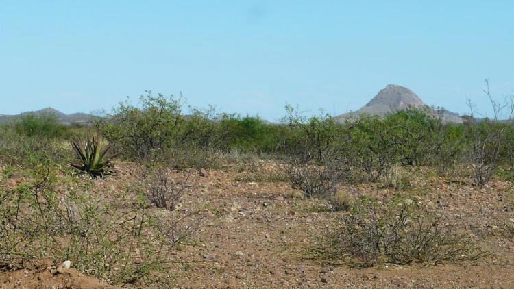 Buildable parcel Near Douglas Arizona Cochise County must sell!