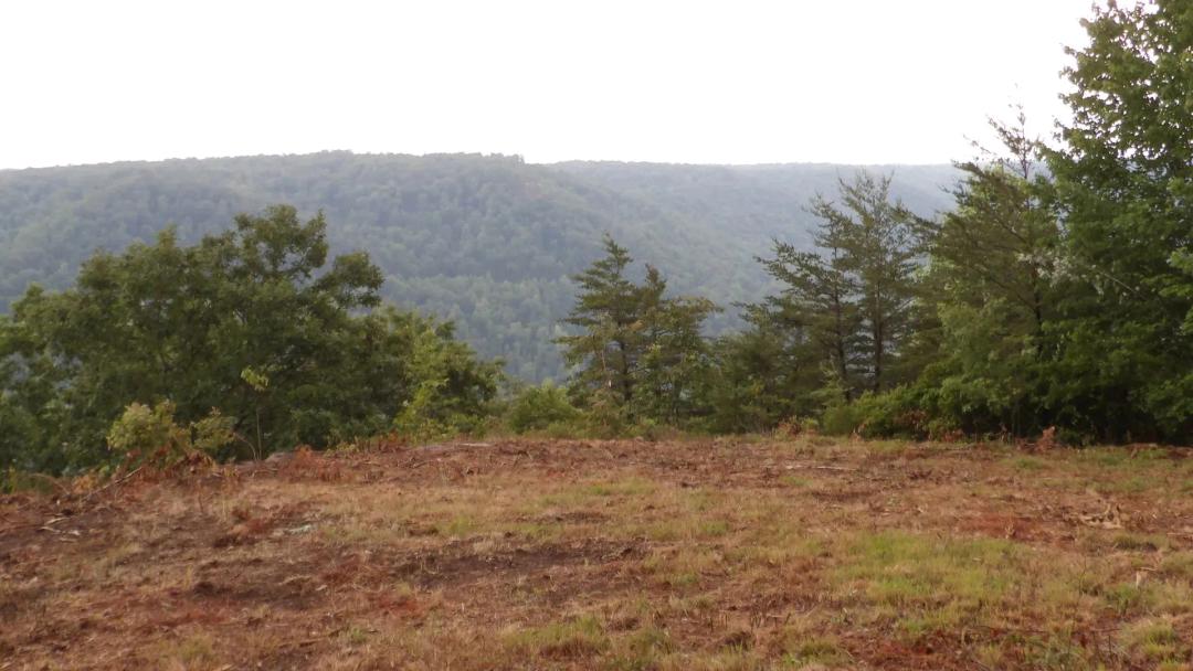 9.14 AC W/ AWESOME MTN VIEWS, BUILDING SITE
