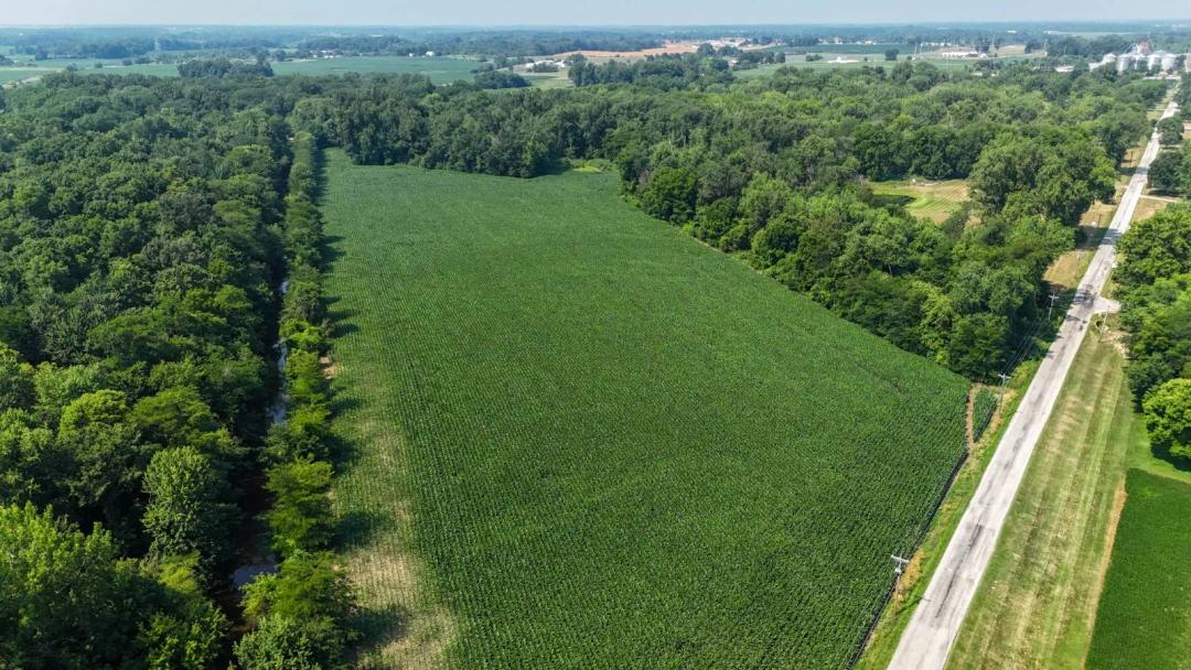Scenic 29-Acre Parcel with Tillable, Wooded, and Buildable Land