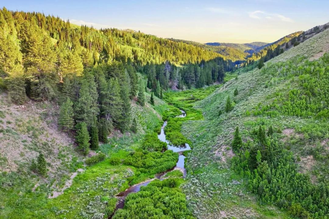 Long Hollow Ranch