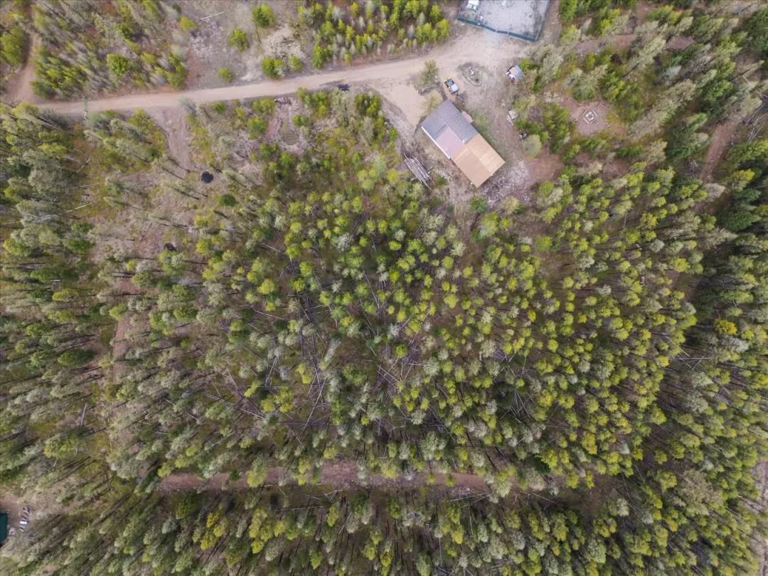 5.48 Acres bordering Flathead National Forest