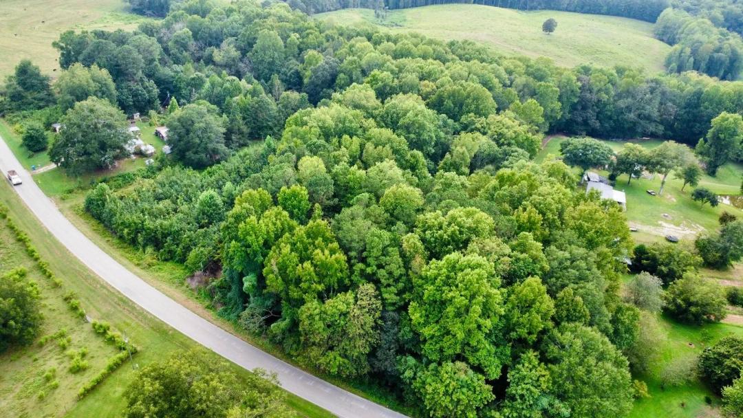 10 +/- Acres in Graham, AL