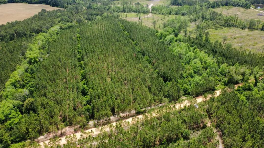 16 Acre Country Escape Ben Hill Co.
