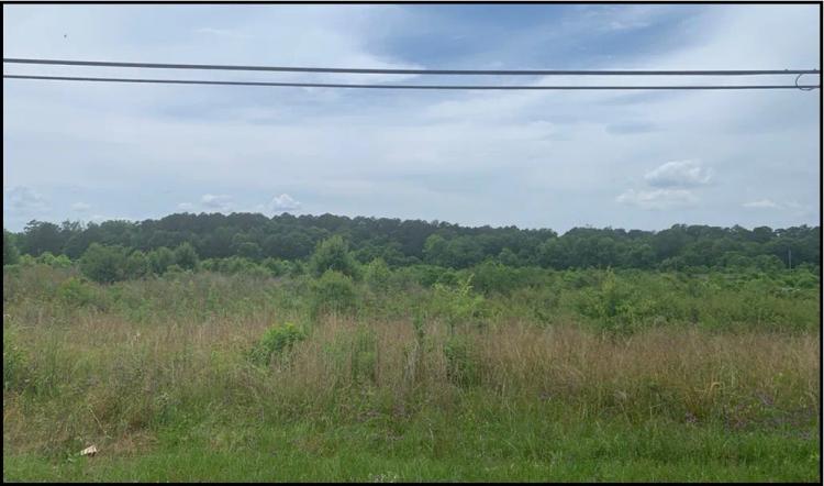 25.3 Acres in Lincoln County in Brookhaven, MS