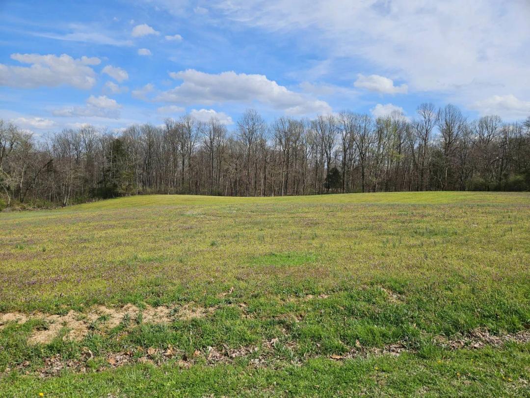 Excellent Recreational/Hunting Parcel