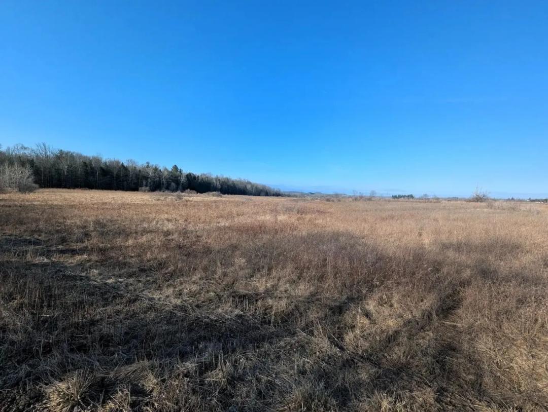 8 acre Building Lot in Rathbone NY South Road