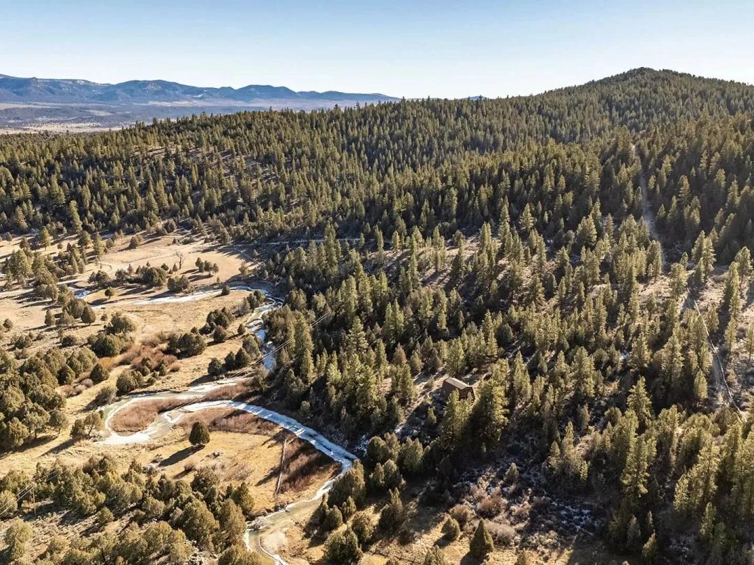 Mammoth Ridge Muleys
