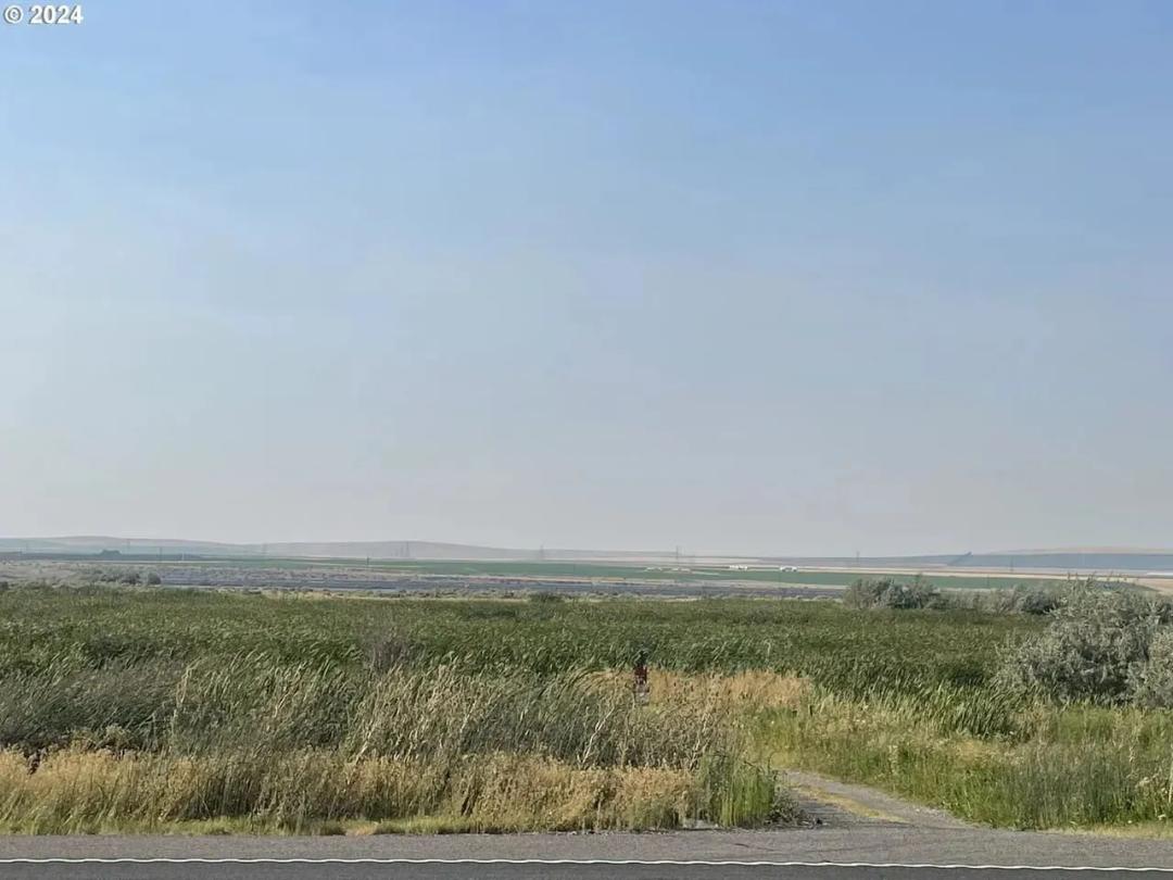 Irrigated ground/Exceptional Duck Hunting Grounds with buildable lots for a hunting retreat.