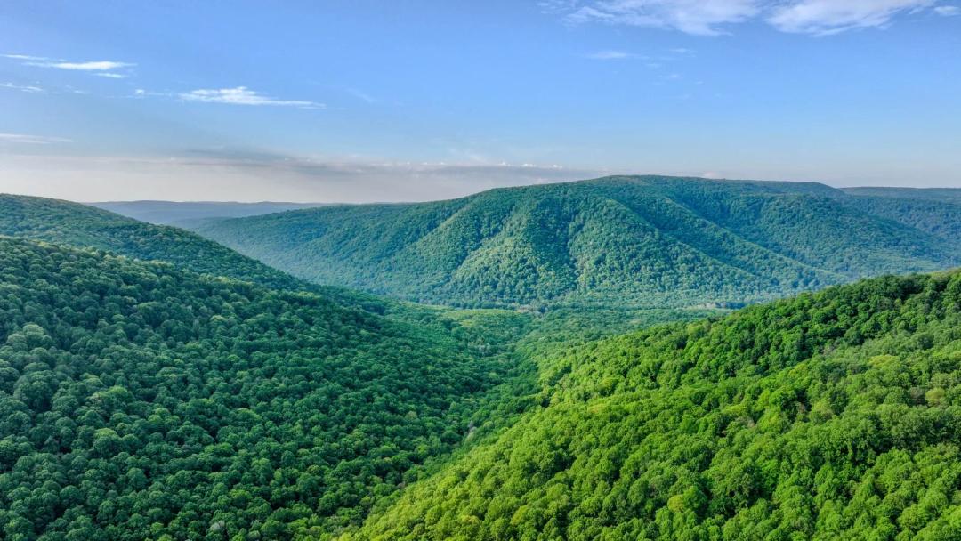 Off Grid Timberland Bordering Ohiopyle State Park