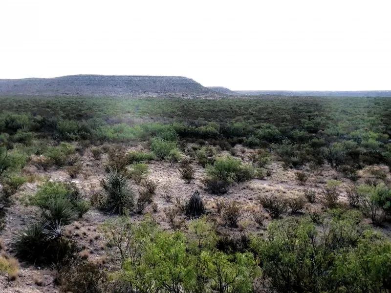 Hunting Ranch in Upton County