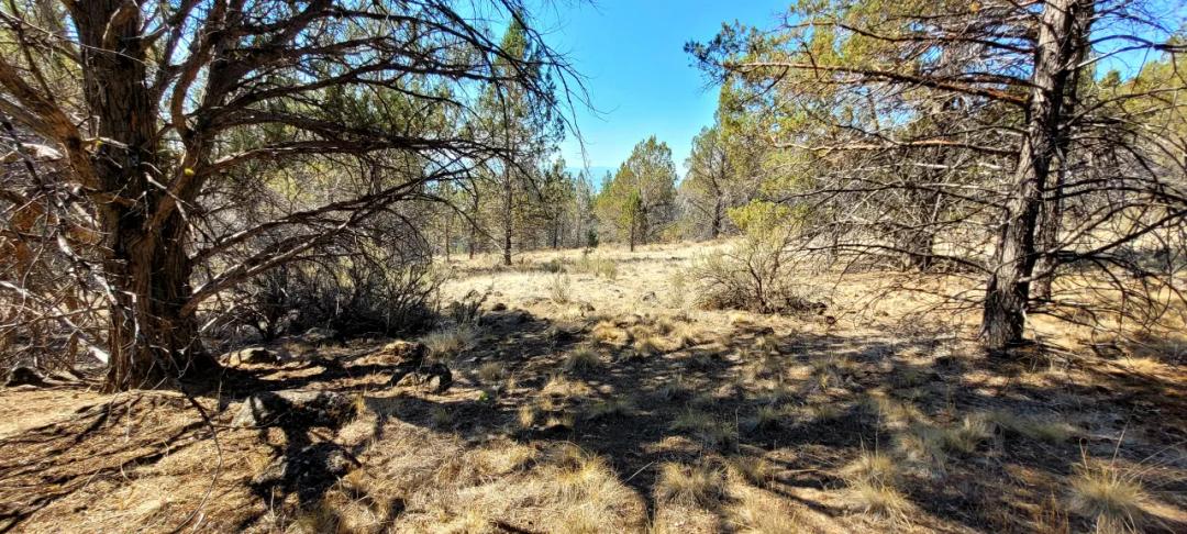 Southerly facing parcel above Sprague River Valley * TREES