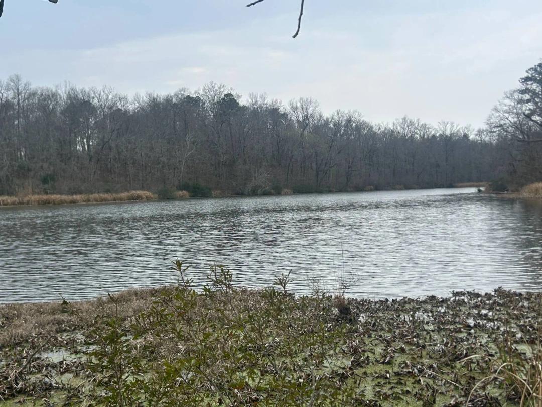3 Wooded Acres in Legacy Shores - River Access