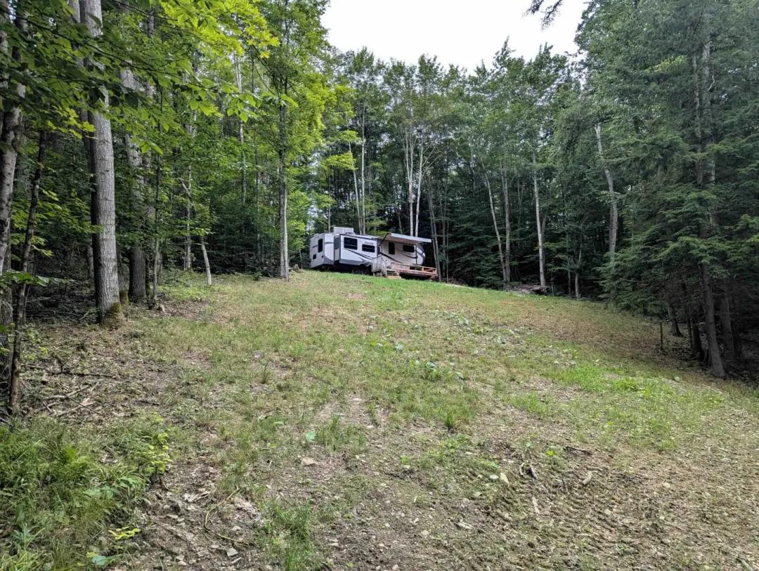 6 acre Private Wooded Retreat with Streams in Cohocton NY Akins Rd