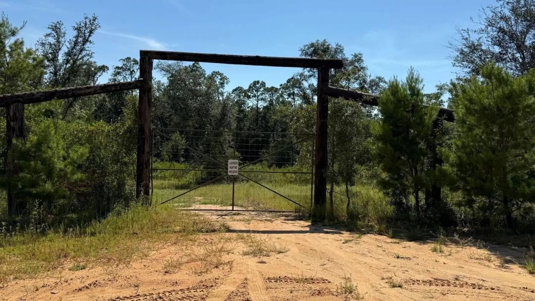 280-Acres Timber, Hunting,Homesites