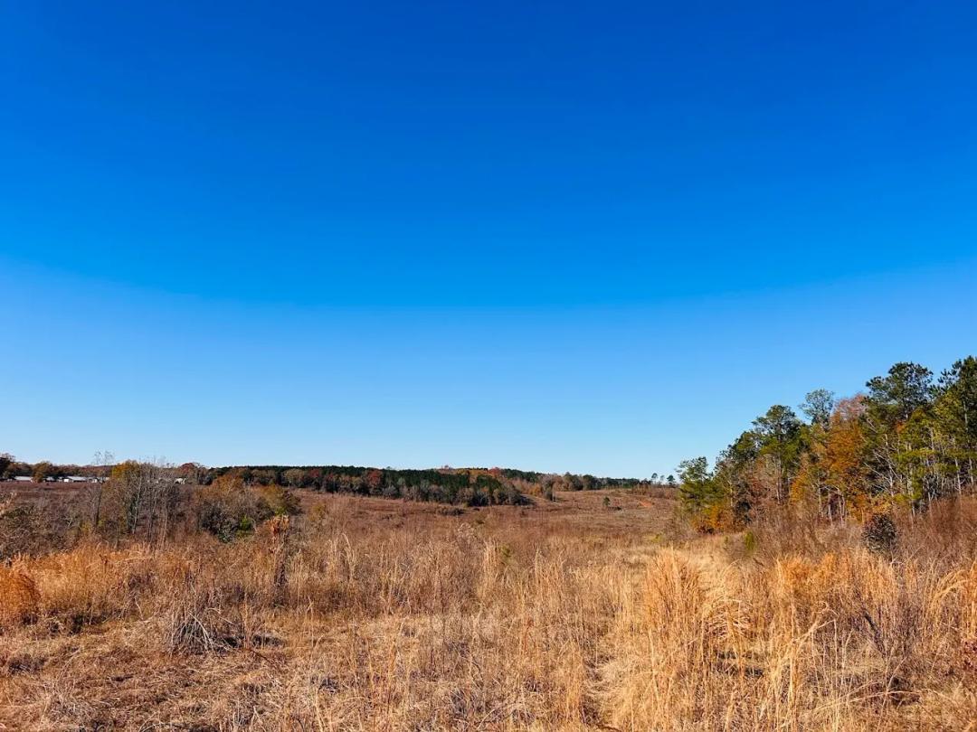 216.00 Acres at 0 Jaye Road