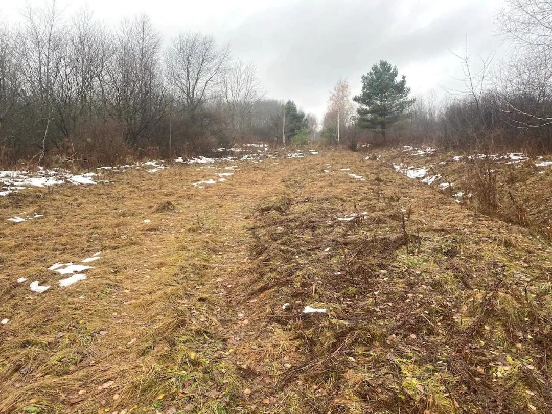 63 acres Hunting Land with Valley Views in Friendship NY 4409 State Route 275