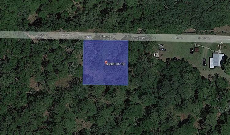 Stunning Days Ahead on .23-Acres of Treed Land in Marion County! Mobile Home Friendly!
