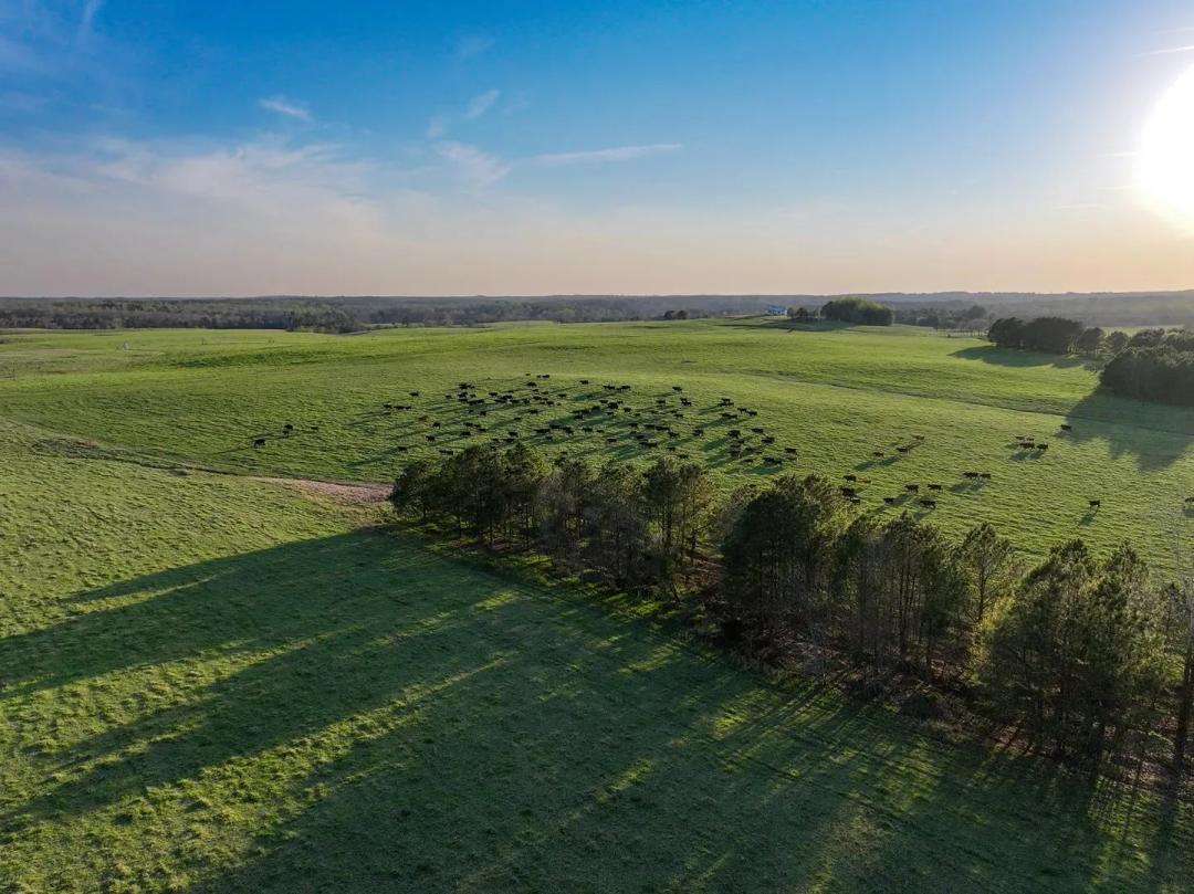 Whitney Farm