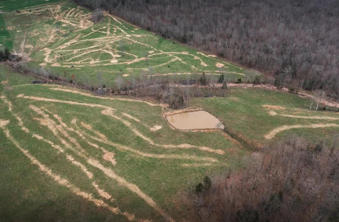 Premium Pasture 40