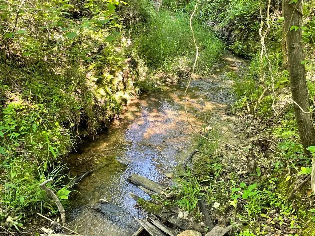 +/- 7.8 Acres – Tract 1 on Clatworthy Road in Honea Path, SC