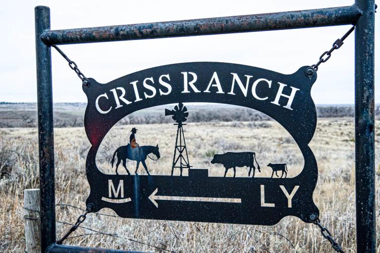 Criss Ranch
