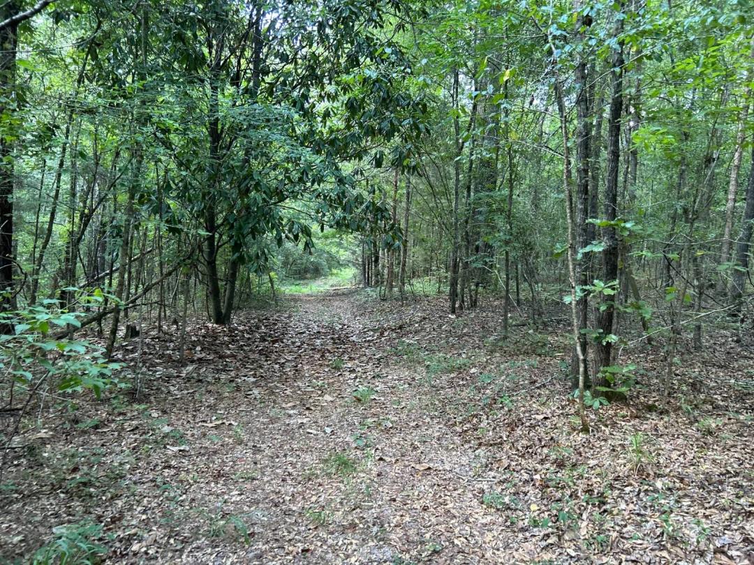 94+- acres on Rose Hill Road