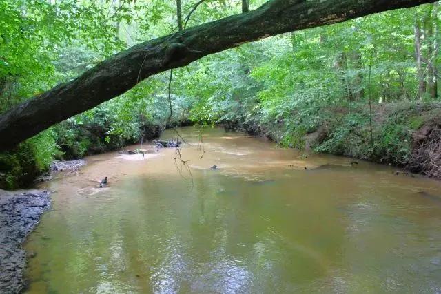 Nichols Creek Tract