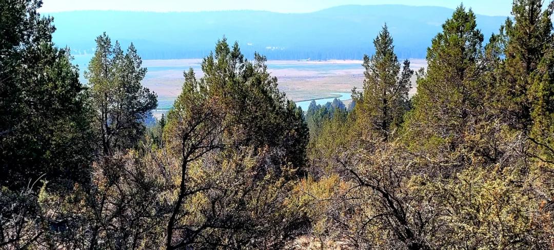 Sprague River Valley Views * Trees * Mobiles, modulars, site-builds ok