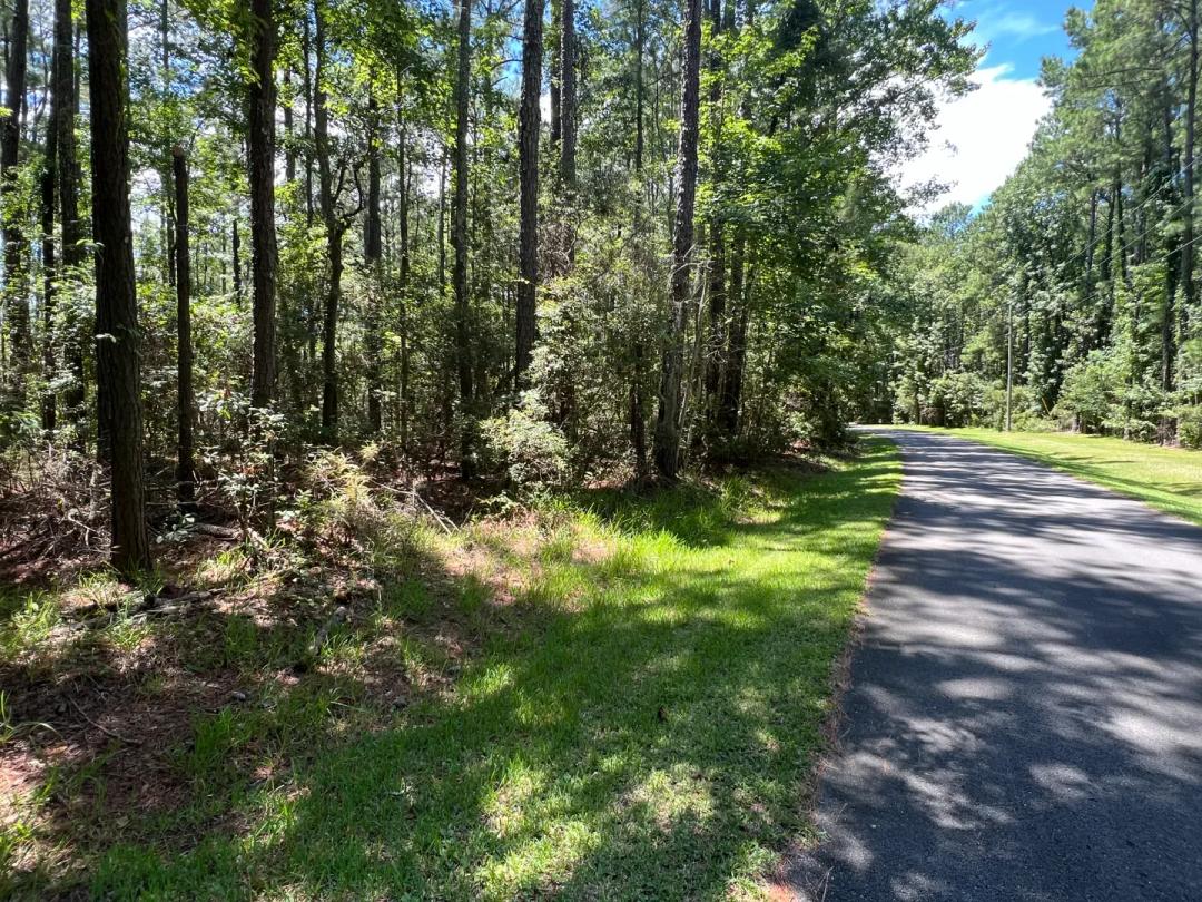 Build Your Dream Home on 5.36 AC - No HOA or Limits!