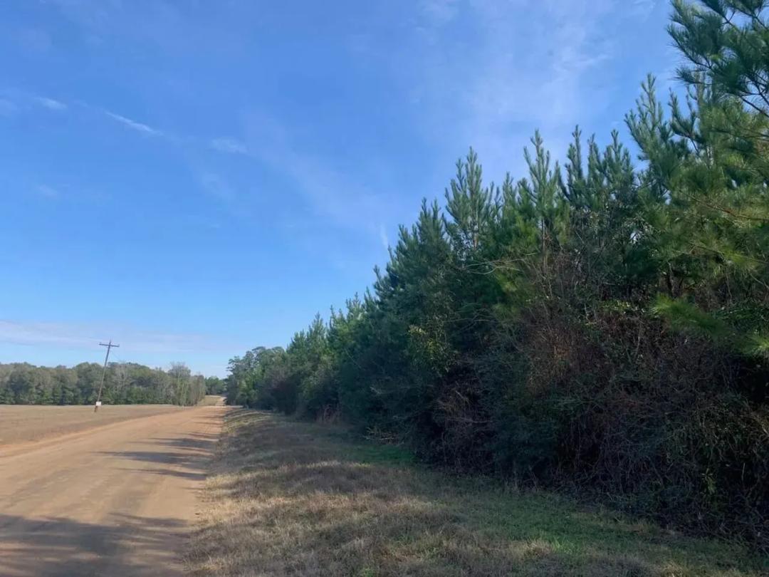 42 Acres | T-1 | Nursery Road