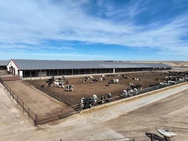 Turnkey 3,500-Head Livestock Facility - Beaver City, NE