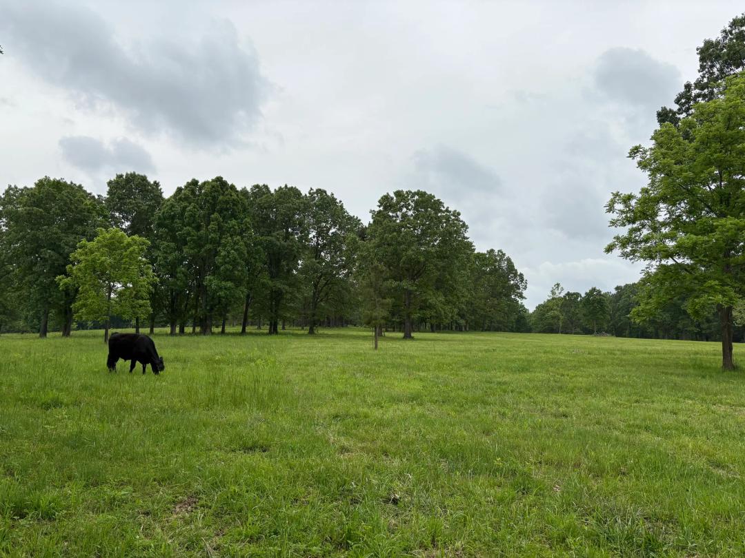 Phelps County 30