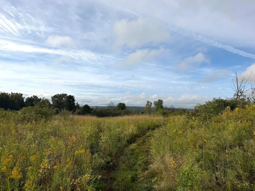 13 acres Hunting Land and Building Site with Valley Views in South Dayton NY Ball Hill Rd