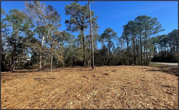 .54 Acre Lot in Harrison County in Pass Christian, MS